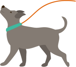 犬　いぬ　散歩　お散歩　ペットシッター