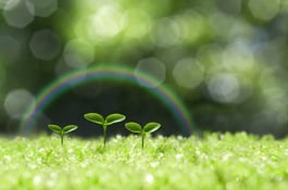 化粧品工房ぴりかのんの Jimdoアドベントカレンダー2018