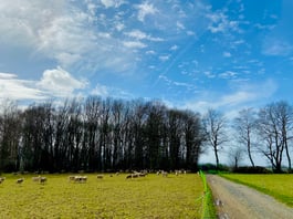 フランス人の家でフランス生活体験　思い出に残る卒業旅行を、お友達との参加も可能です！　