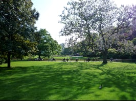 IFCM-国際全人医療研究所