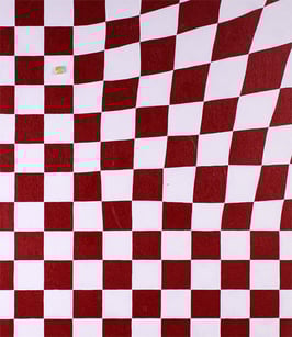 STOCKING 1    455mm×530mm  F10   Acrylic, wood   2014