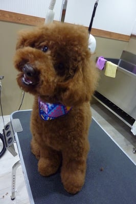 コロンちゃん♪