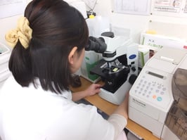 ◆顕微鏡検査