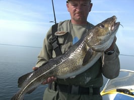 Michael Weis mit einem schönen Dorsch Mai 2009