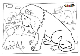 ANIKIDS Malvorlage Löwe