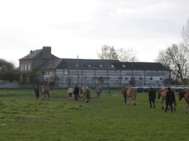 FERME VUE DES PATURES