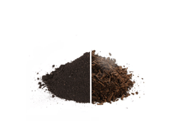 LEONARDIT VS. PFLANZENKOHLE