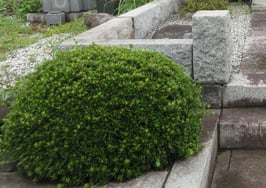 深谷石材店：お墓のメンテナンス