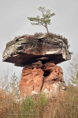 Mit dem Wohnmobil in der Pfalz