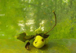 Petite vanité à la tombée du vent