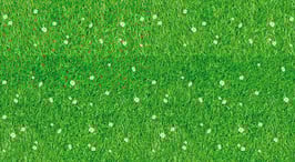 JUPE DE PALETTE GAZON