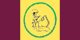 Batchewana First Nation Flag (Ontario)