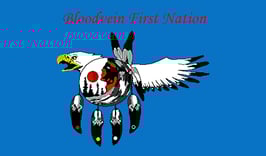 Bloodvein First Nation Flag