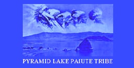 Pyramid Lake Paiute Tribe Flag