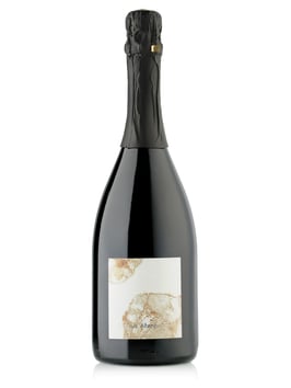 Blank Zero Dosage 2017