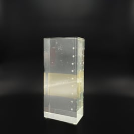 Thomas Lemke - "frozen state"