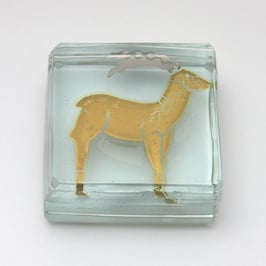 Sternzeichen/Tierkreiszeichen von Heiner Düsterhaus