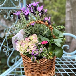 春風ストロベリーバスケット １