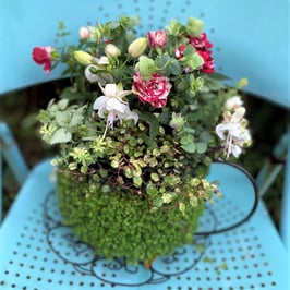 ベビーティアーズポットの寄せ植えブーケ～コーヒーカップ