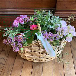 春風ストロベリーバスケット ３