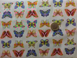 Butterflies, Fresh Country, P&B 12115050818