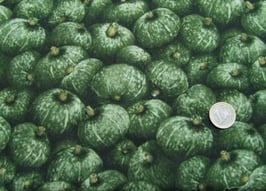 Kyle's Marketplace, Kürbisse RJR 0183555505