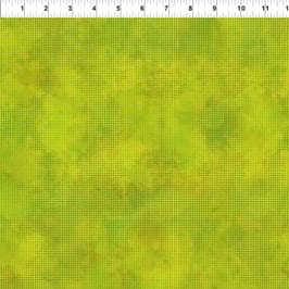 Dit Dot Evolution 20, In The Beginning 10329050719