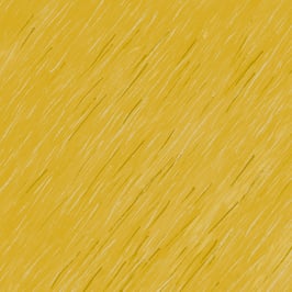 Rain - Sunshine, Four Seasons, Windham 02152950923