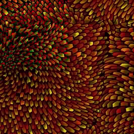 Anemone Garnet, Aruba, Jinny Beyer, RJR 02161250619