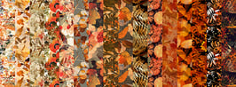 Reflections of Autumn, 2,5"-Strip Roll, In The Beginning Fabrics