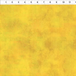 Dit Dot Evolution 19, In The Beginning 01067550724