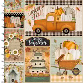 The Pick of the Patch, Pictures, 3Wishes 08335050723