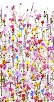 Spring Floral, Digitaldruck,  Hoffman Fabrics 030119501421