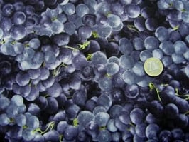 Farmer's Market, Weintrauben, blau, RJR 10259550610