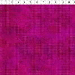 Dit Dot Evolution 8, In The Beginning 10209050719