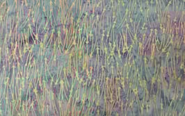 Blossom, Flieder und Grün, Hoffman Fabrics 05355550212