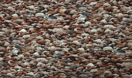 Steine Dunkel, Pine Lodge, SSI 0168405068