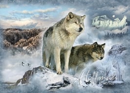 Glacier Panel, Hoffman Californa Fabrics 10141450618