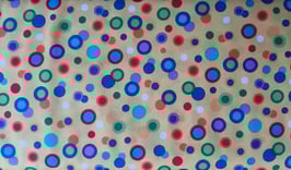 Bunte Kreise auf Gelb, Studio E 01611050713