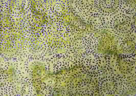 Green Citron 3, Batik by Mirah, 09062750713