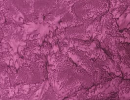 Brombeer, Eyelike Batik 03076550520