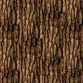 Bark Texture Acorn, Nature Walk, Kanvas Studio, 12325950718