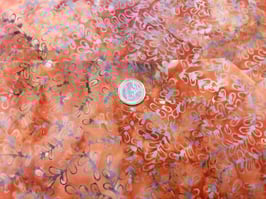 Graue Blattranken auf rostbraun-orange, Batik, Anthology Fabrics, 05112550817