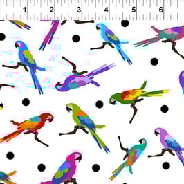 Colorful, Parrots Multi, In The Beginning Fabrics 11029850822