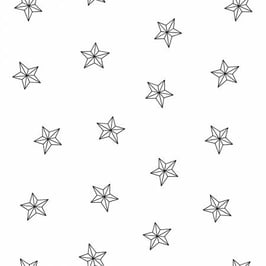 White on White Stars , Ramblings Holiday 2, P&B Textiles 07425650520