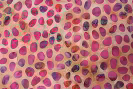 Tea Rose #1 , Batik by Mirah, 02135950610