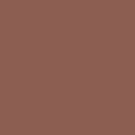 Paprika, Fuzz, Nature Study, Windham Fabrics 02066950823