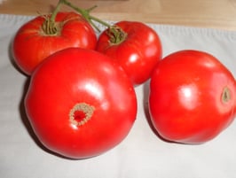 Fleischtomate "Rumänische Urzeit"