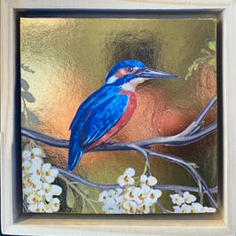 IJsvogeltje (rechts)