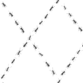 Les Fourmis Diamonds